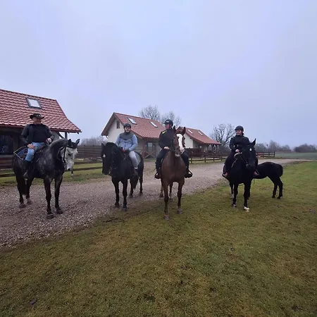 Ostoja - Na Kaszubach, Sauna, Balia-jacuzzi, Plac Zabaw, Tyrolka , Dwa Boiska, Miejsce Na Ognisko, Grill Gazowy