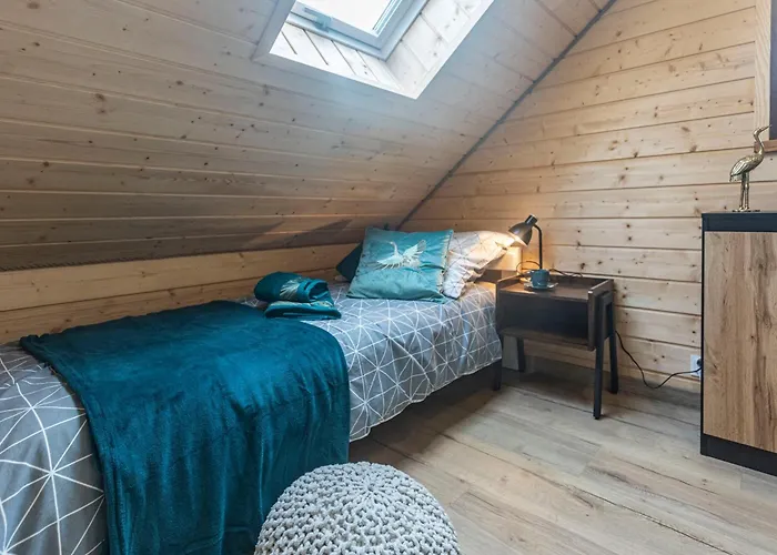 Ostoja - Na Kaszubach, Sauna, Balia-jacuzzi, Plac Zabaw, Tyrolka , Dwa Boiska, Miejsce Na Ognisko, Grill Gazowy