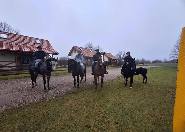 Ostoja - Na Kaszubach, Sauna, Balia-jacuzzi, Plac Zabaw, Tyrolka , Dwa Boiska, Miejsce Na Ognisko, Grill Gazowy